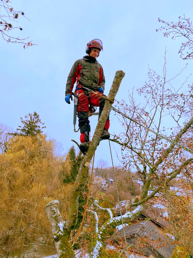 Sven Weingärtner bei der Baumpflege im Einsatz